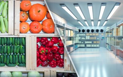 Why Walk in Coolers Are Essential for Your Convenience Store